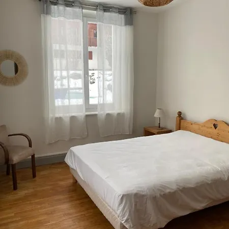 Les 4 Flocons, Avec Piscine Exterieure Chauffee A 100m Du Et Du Centre , Wifi, Parking, Sauna Gérardmer