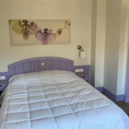 Les 4 Flocons, Centre, A 100m Du Lac, Avec Piscine , Wifi, Parking, Jardin
