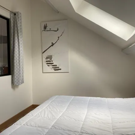 Les 4 Flocons, Avec Piscine Exterieure Chauffee A 100m Du Et Du Centre , Wifi, Parking, Sauna Gérardmer