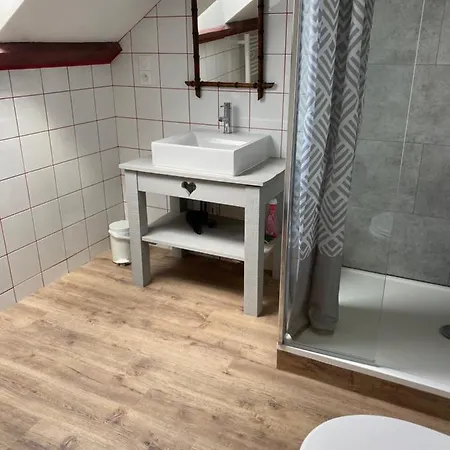 Les 4 Flocons, Centre, A 100m Du Lac, Avec Piscine , Wifi, Parking, Jardin