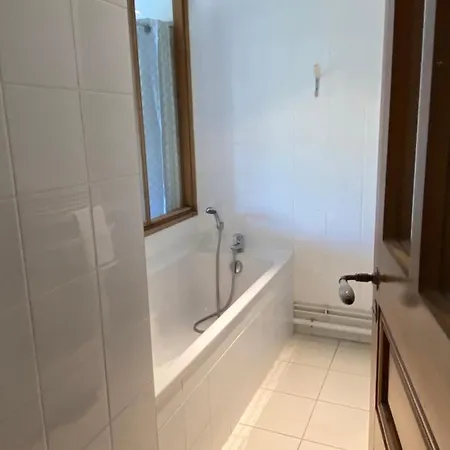 Apartment Les 4 Flocons, Centre, A 100m Du Lac, Avec Piscine , Wifi, Parking, Jardin *