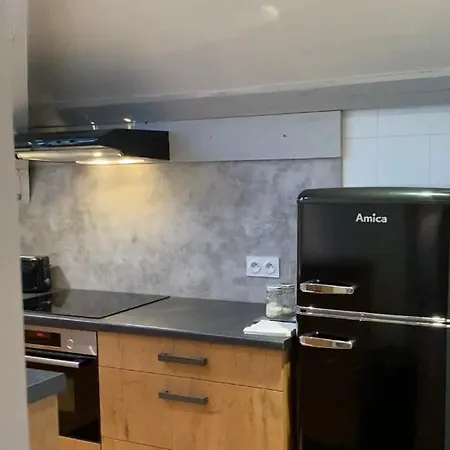 Les 4 Flocons, Centre, A 100m Du Lac, Avec Piscine , Wifi, Parking, Jardin