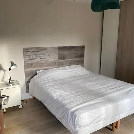 Les 4 Flocons, Centre, A 100m Du Lac, Avec Piscine , Wifi, Parking, Jardin * Gérardmer
