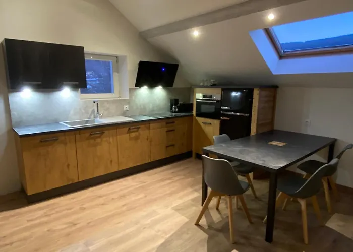 Les 4 Flocons A 100m Et Du Centre , Wifi, Parking, Piscine Ouverte Des Le 1er Mai Apartment Gérardmer