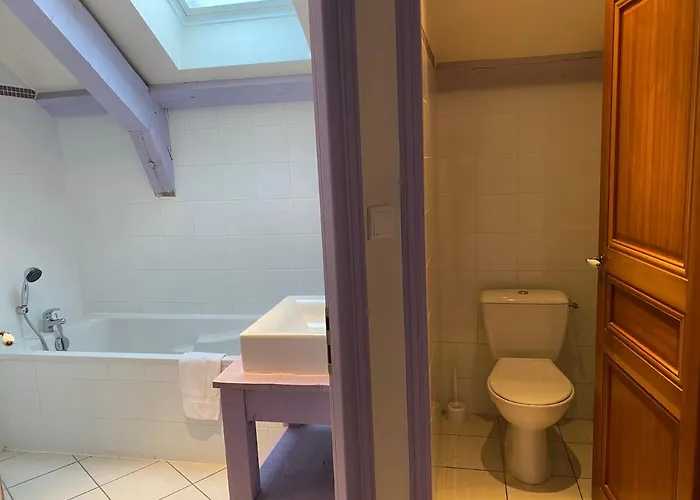 Les 4 Flocons A 100m Et Du Centre , Wifi, Parking, Piscine Ouverte Des Le 1er Mai Apartment Gérardmer