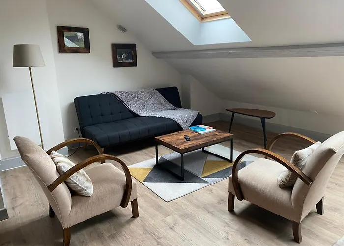 Les 4 Flocons A 100m Et Du Centre , Wifi, Parking, Sauna