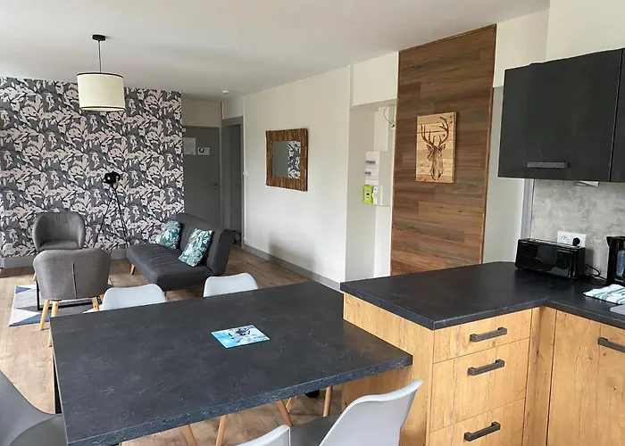 Les 4 Flocons A 100m Et Du Centre , Wifi, Parking, Sauna Appartement *