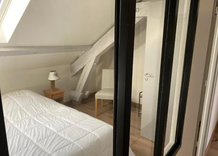 Les 4 Flocons A 100m Et Du Centre , Wifi, Parking, Piscine Ouverte Des Le 1er Mai * Gérardmer