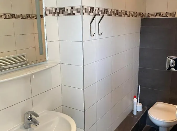 Les 4 Flocons A 100m Et Du Centre , Wifi, Parking, Piscine Ouverte Des Le 1er Mai Apartment Gérardmer