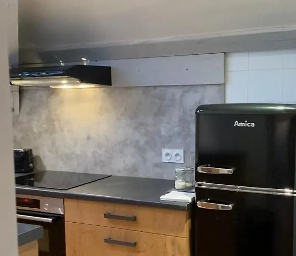 Les 4 Flocons A 100m Et Du Centre , Wifi, Parking, Piscine Ouverte Des Le 1er Mai