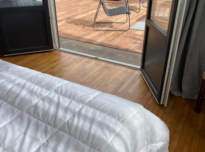 Les 4 Flocons A 100m Et Du Centre , Wifi, Parking, Piscine Ouverte Des Le 1er Mai Apartment