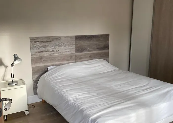 Les 4 Flocons A 100m Et Du Centre , Wifi, Parking, Sauna * Gérardmer